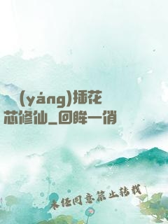 雙陽(yáng)插花芯修仙