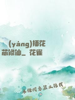 雙陽(yáng)插花芯修仙