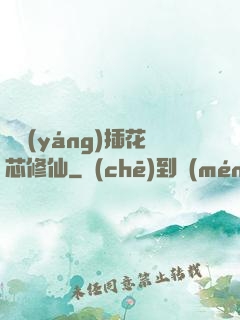 雙陽(yáng)插花芯修仙