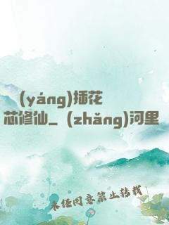 雙陽(yáng)插花芯修仙