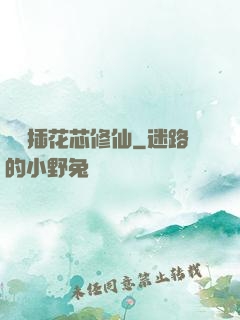 雙陽插花芯修仙