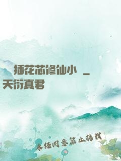 雙陽插花芯修仙小說