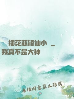 雙陽插花芯修仙小說