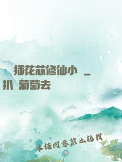 雙陽插花芯修仙小說