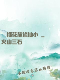 雙陽插花芯修仙小說