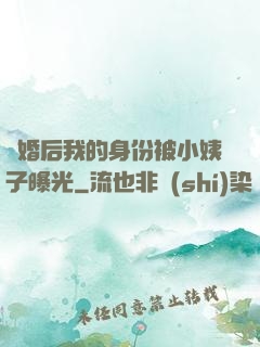 離婚后我的身份被小姨子曝光