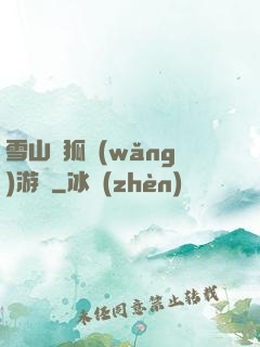雪山飛狐網(wǎng)游錄