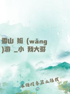 雪山飛狐網(wǎng)游錄