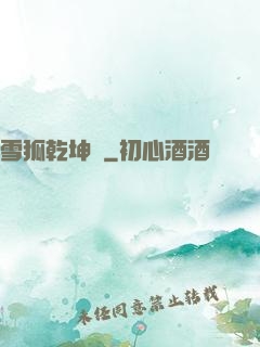 雪狐乾坤錄