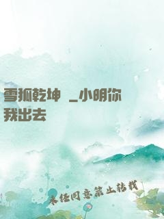 雪狐乾坤錄