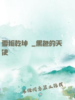 雪狐乾坤錄