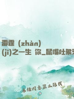雷霆戰(zhàn)機(jī)之一生為你