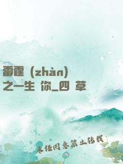 雷霆戰(zhàn)機之一生為你