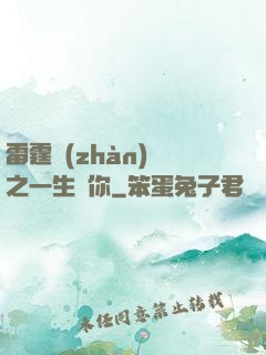 雷霆戰(zhàn)機之一生為你