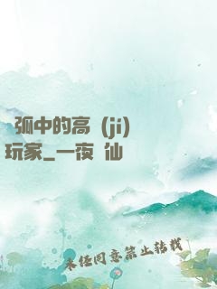 電弧中的高級(jí)玩家