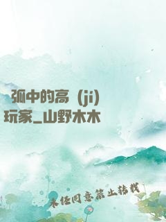 電弧中的高級(jí)玩家