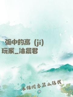 電弧中的高級(jí)玩家