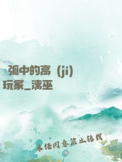電弧中的高級(jí)玩家