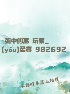 電弧中的高級玩家