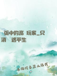 電弧中的高級玩家