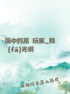 電弧中的高級玩家