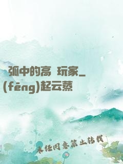電弧中的高級玩家