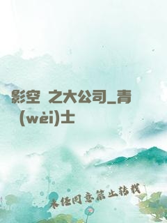 電影空間之大公司