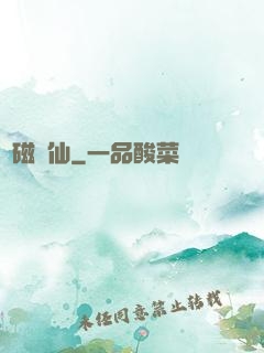 電磁劍仙