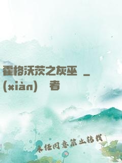 霍格沃茨之灰巫師