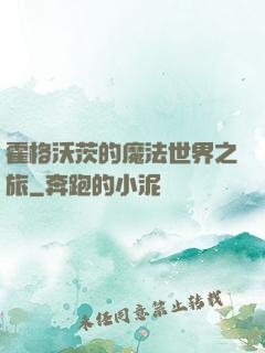 霍格沃茨的魔法世界之旅