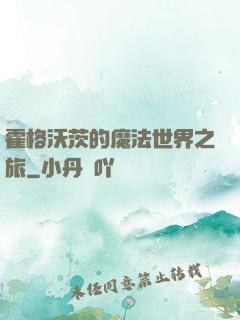 霍格沃茨的魔法世界之旅
