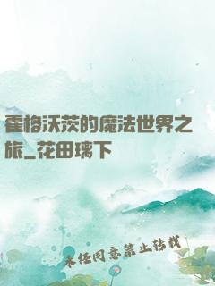 霍格沃茨的魔法世界之旅