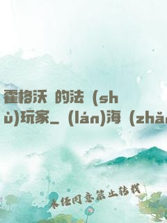 霍格沃茲的法術(shù)玩家