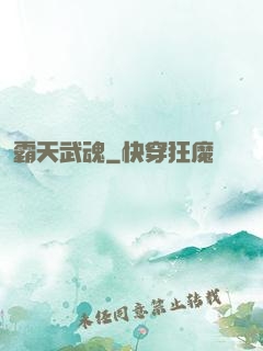 霸天武魂