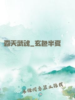 霸天武魂