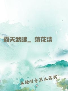霸天武魂
