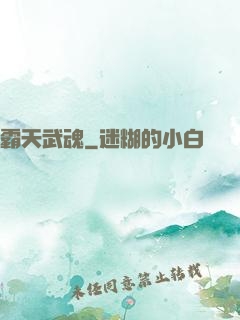 霸天武魂