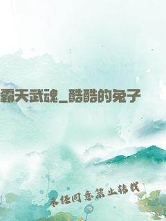 霸天武魂