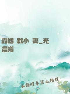 霸婚總裁小蠻妻