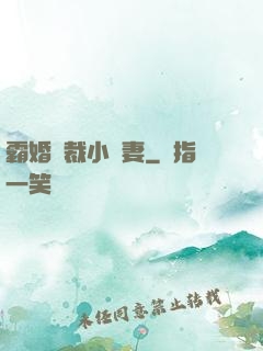 霸婚總裁小蠻妻