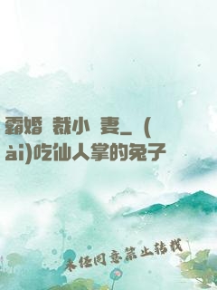 霸婚總裁小蠻妻