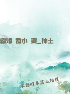 霸婚總裁小蠻妻