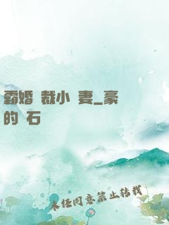 霸婚總裁小蠻妻