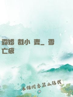 霸婚總裁小蠻妻