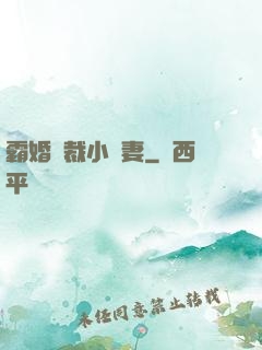 霸婚總裁小蠻妻