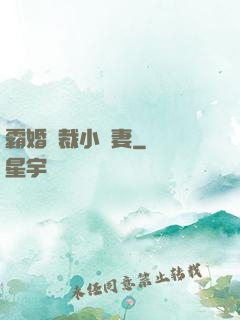 霸婚總裁小蠻妻