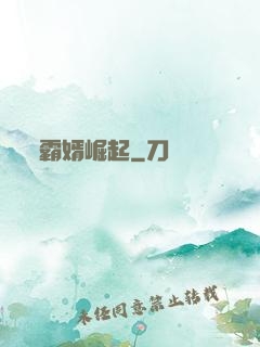 霸婿崛起