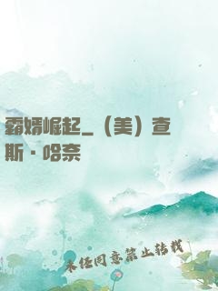 霸婿崛起