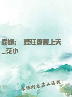 霸婿：寵妻狂魔要上天