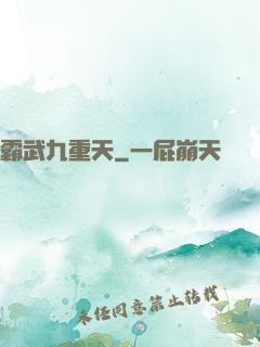 霸武九重天